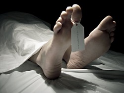 13227670_497462390455764_584537248188304806_o